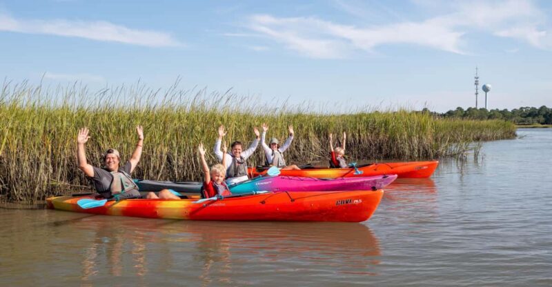 Charleston: Folly Beach Kayak Dolphin Safari - Authentic Reviews and What They Reveal