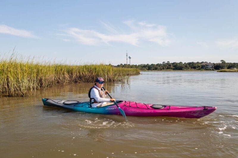 Charleston: Folly Beach Kayak Dolphin Safari - Practical Tips for a Smooth Experience