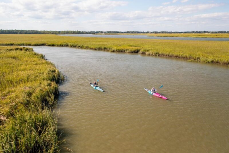 Charleston: Folly Beach Kayak Dolphin Safari - Who Should Book This Tour?