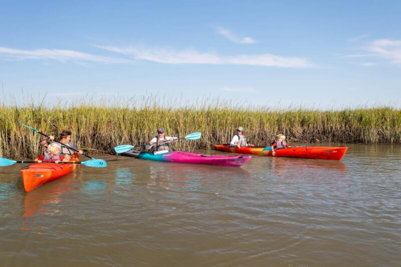 Charleston: Folly Beach Kayak Dolphin Safari - Final Words: Is It Worth It?