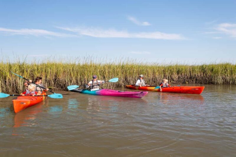 Charleston: Folly Beach Morning Kayak Dolphin Safari - An Introduction to the Experience