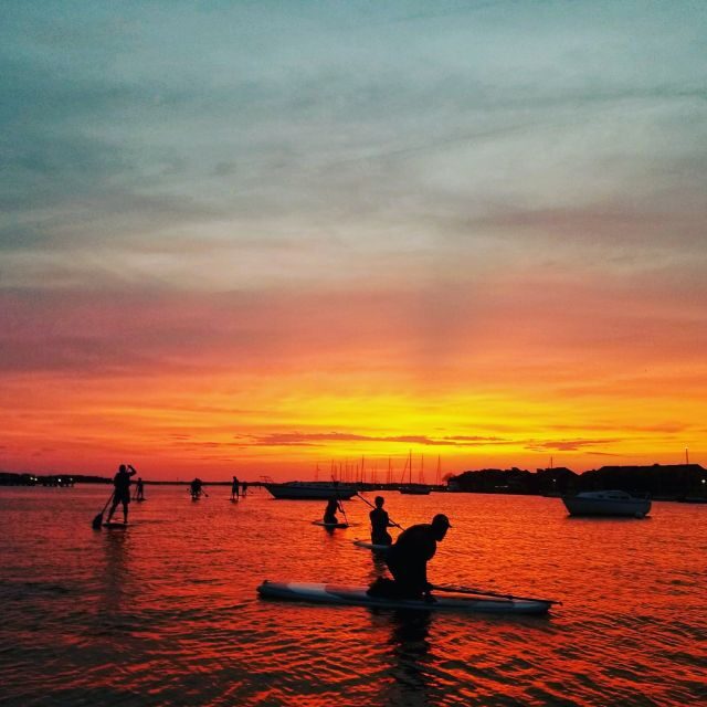 Charleston: Folly Beach Stand Up Paddleboard Dolphin Safari - Who Should Book This Tour?