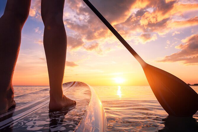 Charleston/Folly Beach Stand up Paddleboard Tour - Key Points