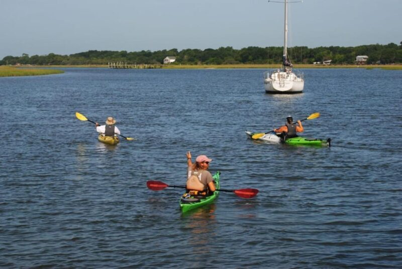 Charleston: Guided 2hr. Kayak Tour with a Tandem or Single - Practical Tips for Participants
