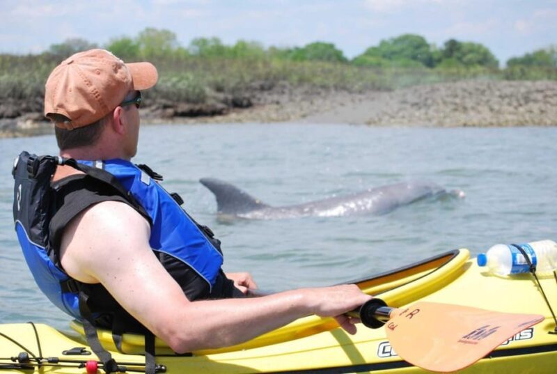 Charleston: Guided 2hr. Kayak Tour with a Tandem or Single - Additional Information