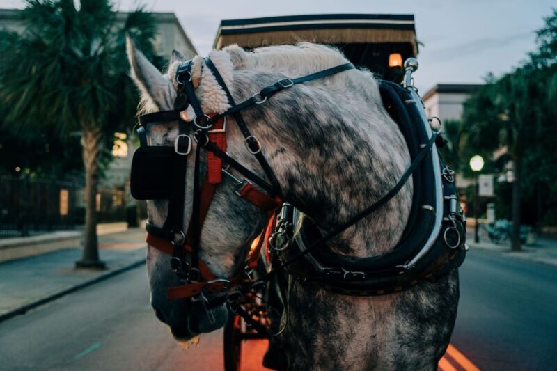 Charleston: Haunted Carriage Evening Tour - An In-Depth Look at the Haunted Carriage Evening Tour