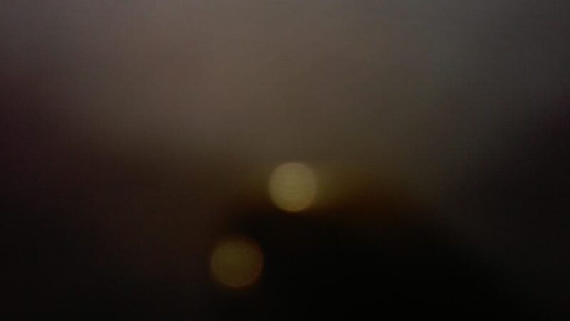 Charleston: Haunted Ghost Tour - A Spectral Adventure! - The Tour Experience: Detailed Breakdown