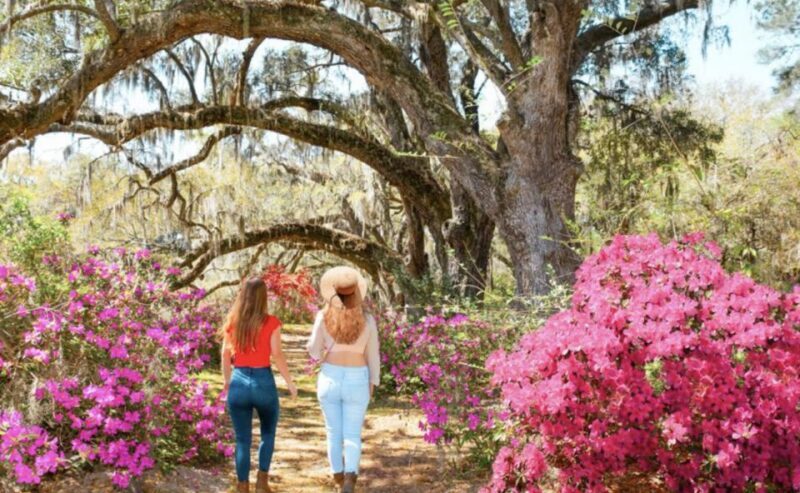 Charleston: Historic City Tour & Magnolia Plantation Combo - Final Verdict: Who Will Love This Tour?