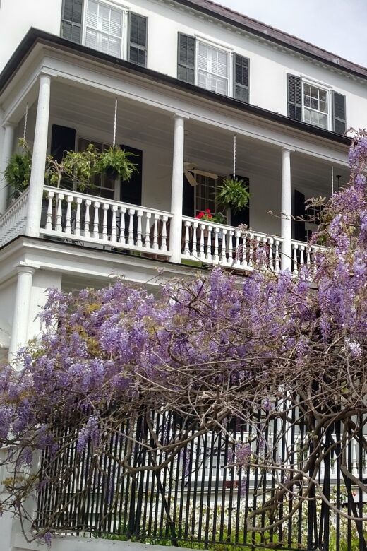 Charleston: Historical Walking Tour with Storytelling - A Deep Dive into the Experience