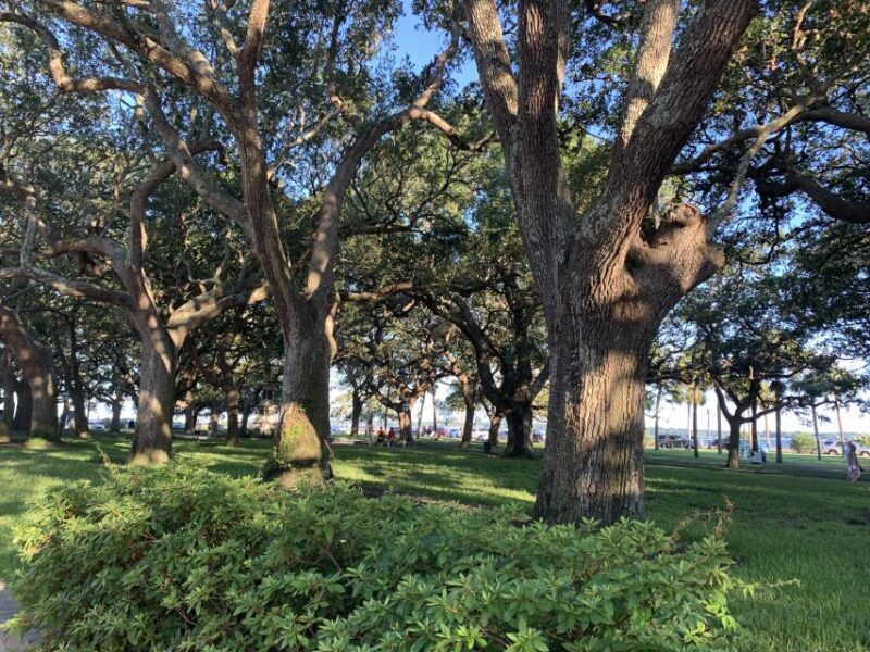 Charleston: Historical Walking Tour with Storytelling - Final Thoughts