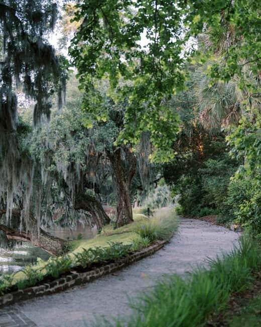 Charleston: Magnolia Plantation & Gardens Guided Tour - An Overview of the Tour
