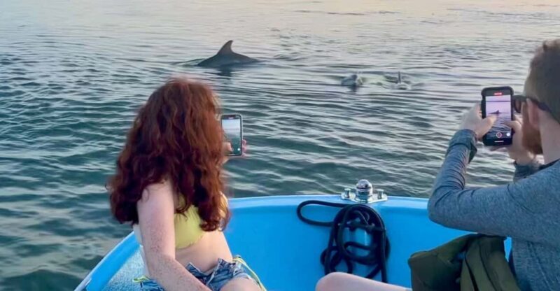 Charleston: Morris Island Dolphin Cruise with Beachcombing - Why This Tour Is Worth Considering
