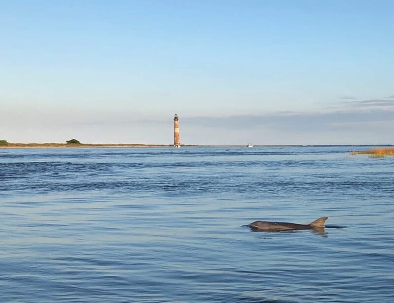 Charleston: Morris Island Dolphin Cruise with Beachcombing - Who Should Book This Tour?