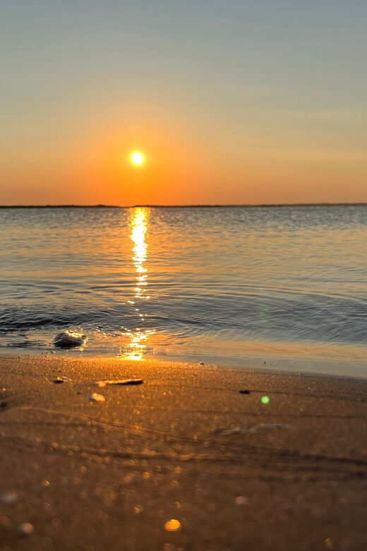 Charleston: Morris Island Dolphin Cruise with Beachcombing - FAQ