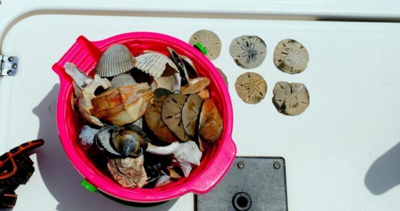 Charleston: Morris Island Lighthouse Eco-Boat Tour - Final Thoughts