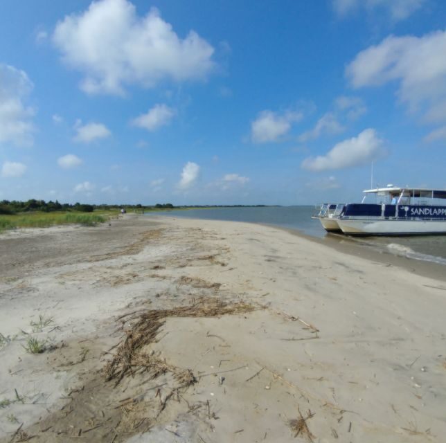 Charleston: Morris Island Nature Boat Tour with Naturalist - Analyzing the Value