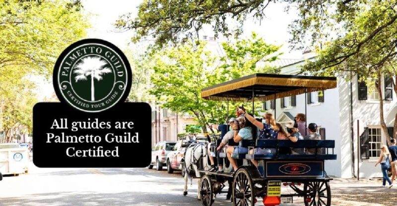 Charleston, SC: Private Daytime Horse-Drawn Carriage Ride - An In-Depth Look at the Experience