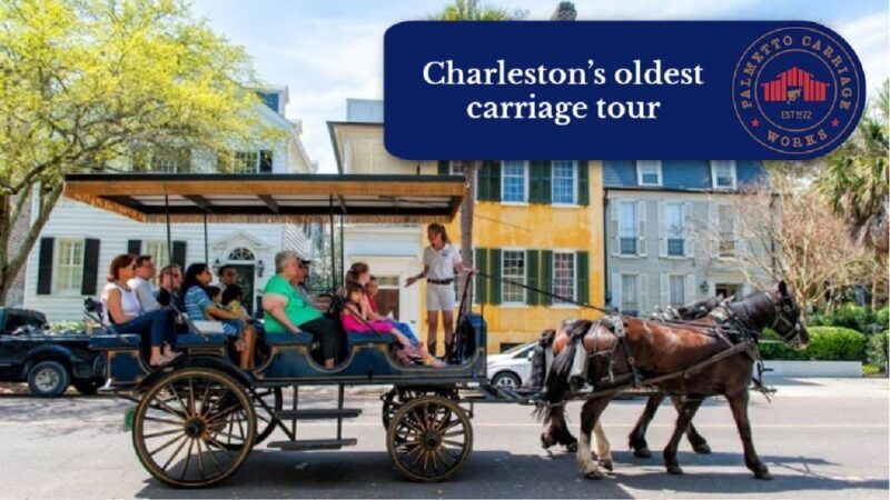 Charleston, SC: Private Daytime Horse-Drawn Carriage Ride - Practical Tips for Your Ride