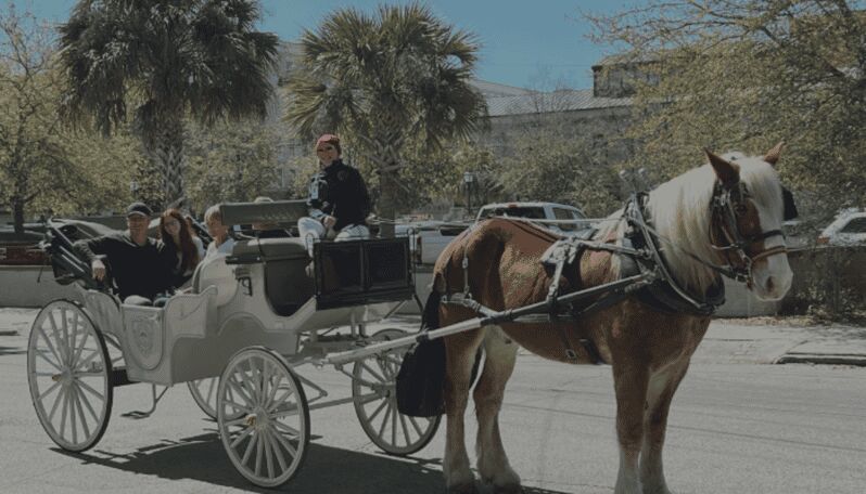 Charleston, SC: Private Evening Horse & Carriage Tour - An In-Depth Look at the Experience