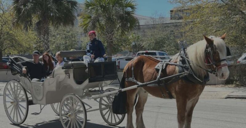 Charleston, SC: Private Evening Horse & Carriage Tour - A Detailed Look at the Experience