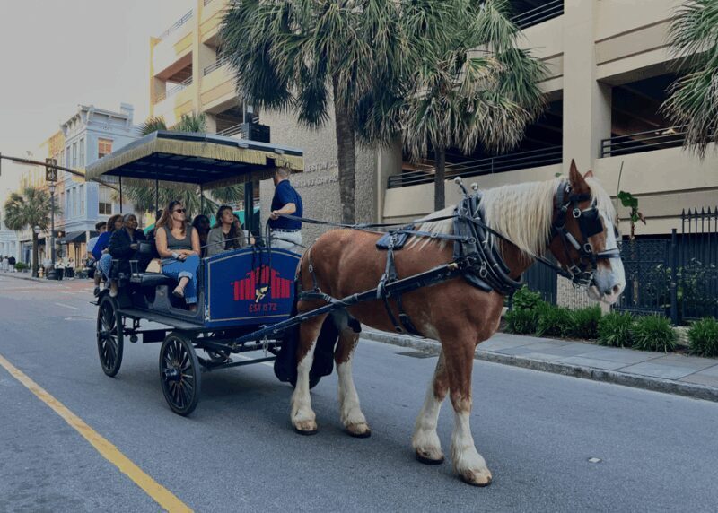 Charleston, SC: Private Evening Horse & Carriage Tour - Final Words