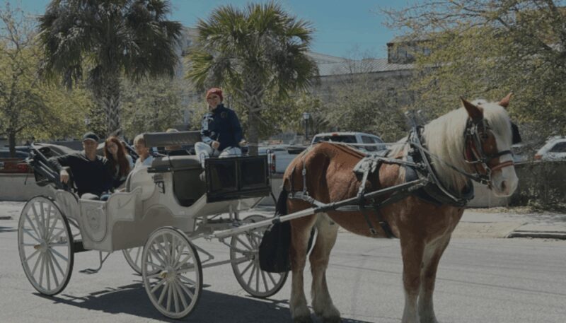 Charleston, SC: Private Evening Horse & Carriage Tour - FAQ