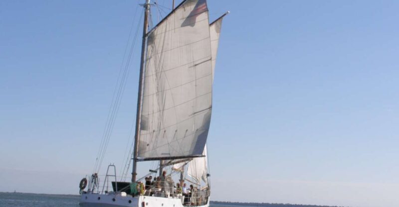 Charleston: Schooner Sailing Harbor Tour & Dolphin Watch - Who Will Love This Experience?