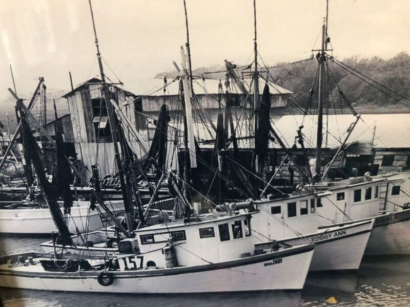 Charleston: Shem Creek Culture Tour - Key Points