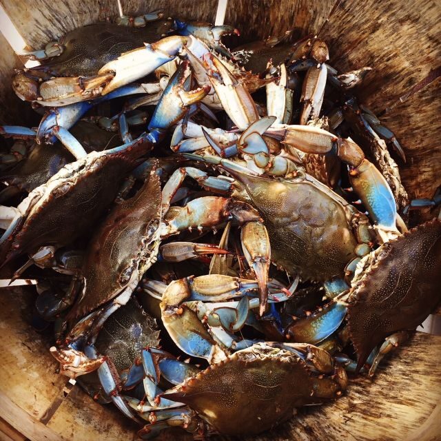 Charleston: Shem Creek Culture Tour - FAQ