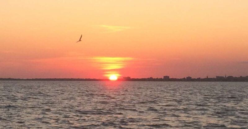 Charleston: Sunset Harbor Cruise - Who Should Book This Experience?