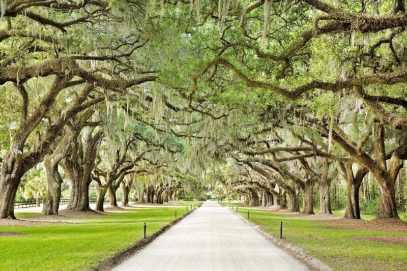 Charleston: Tour Pass with 40+ Attractions - FAQ: Charleston Tour Pass with 40+ Attractions