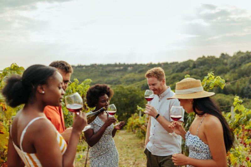 Charleston: Wadmalaw Island Wine Tasting and Tea Garden Trip - Final Verdict: Who Will Love This Tour?