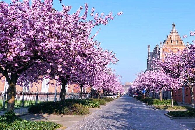 Charlie's Private Off The Beaten Path Tour (Ghent) - FAQs