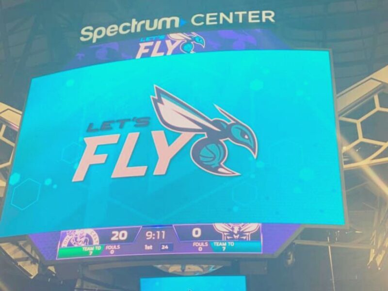 Charlotte: Charlotte Hornets Basketball Game Ticket - The Sum Up