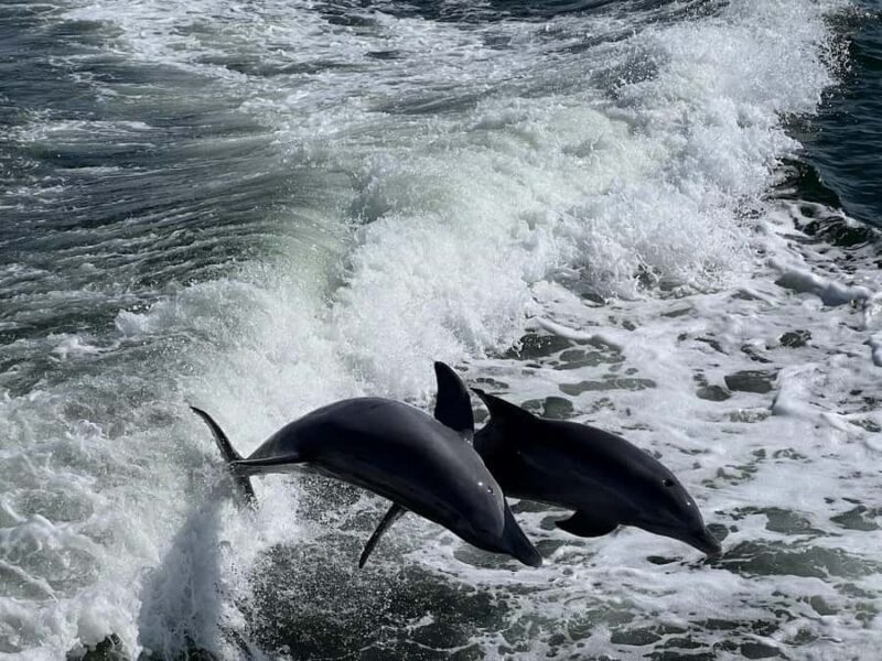 Charlotte Harbor: "The Oasis" Tiki Boat Sunset Cruise - Why You’ll Love the "Oasis" Tiki Boat Sunset Cruise