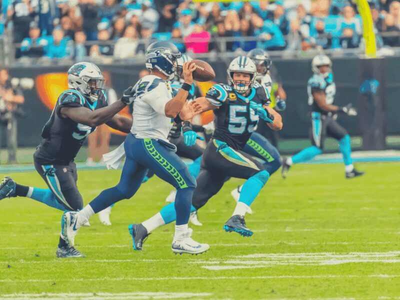 Charlotte: Panthers Football Game at Bank of America Stadium - Key Points