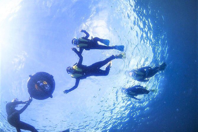 Charter Snorkeling (near Churaumi Aquarium) Free photo gift - Who Would Love This Experience?