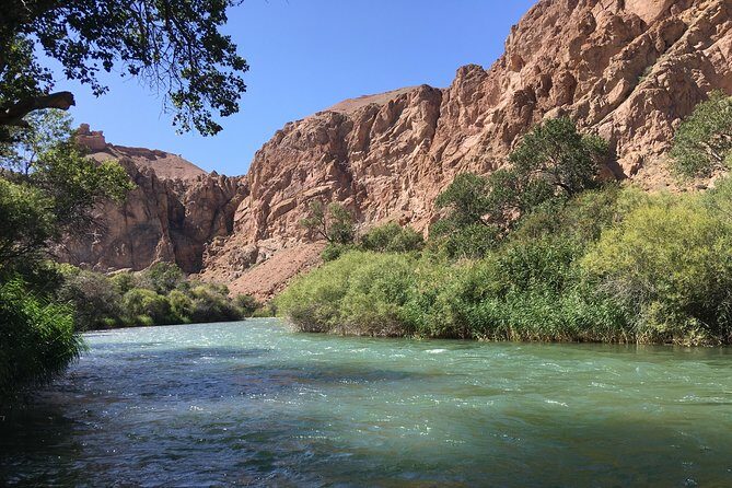 Charyn Canyon Private tour from Almaty, 1 day - What Makes This Tour Stand Out?