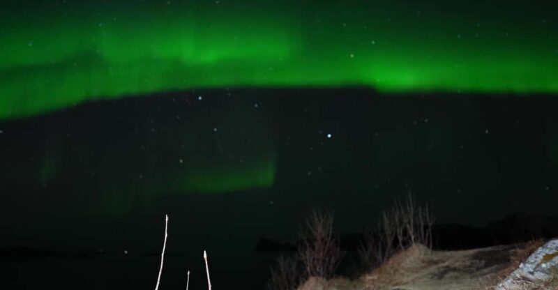 Chase the Magic of the Northern Lights in Tromsø Norway - Introduction to the Tromsø Northern Lights Tour