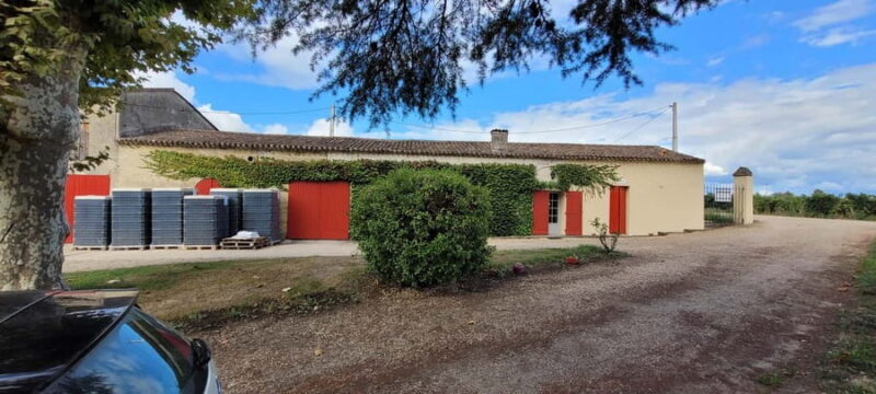 Château Cantelaube: tour and tasting at an unusual wine estate - A Close Look at Château Cantelaube