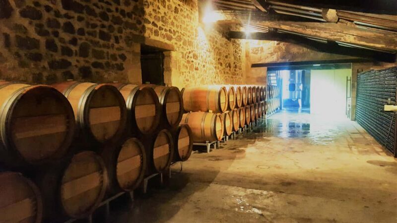 Château Cantelaube: tour and tasting at an unusual wine estate - FAQs