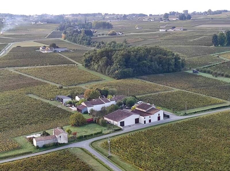 Château Champion: Picnic at the winemaker's - FAQs