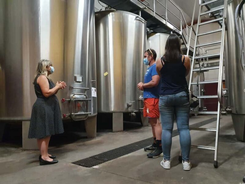 Château Champion: Tour and tasting with tapas - The Value of This Experience