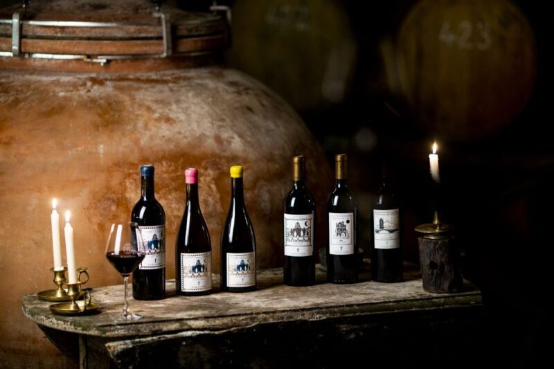 Château de Luc: Unique visit and wine tasting - A Deep Dive into Château de Luc: What to Expect