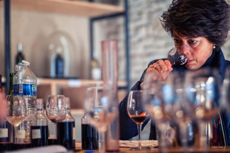 Château de Terride: tour of the wine cellar & wine tasting - Château de Terride: Tour of the Wine Cellar & Wine Tasting