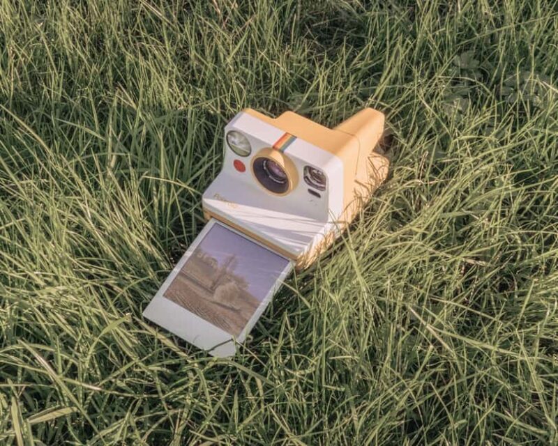 Château Fleur Cardinale: Panoramic Tour Walk through the vineyards - Who Will Enjoy This Tour?