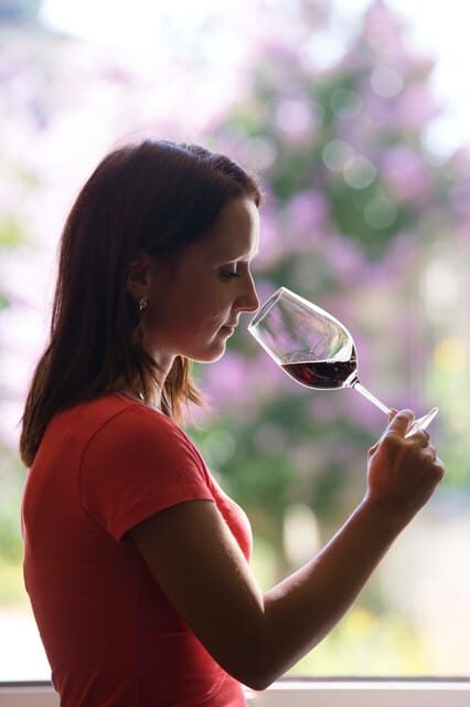 Château Olivier: One Hour Vineyard Tour with Wine Tasting - The Experience: What to Expect
