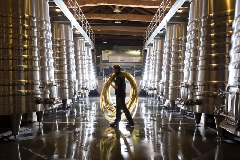 Château Olivier: One Hour Vineyard Tour with Wine Tasting - Authentic Insights from Reviews