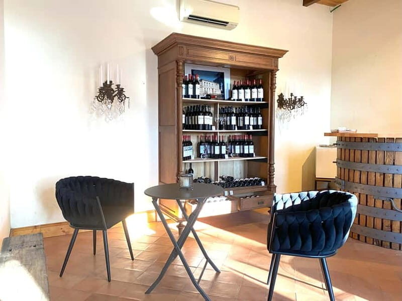 Château St-Emilion Grand Cru visit and Grand Cru and Pomerol tasting - Who Should Consider This Tour?