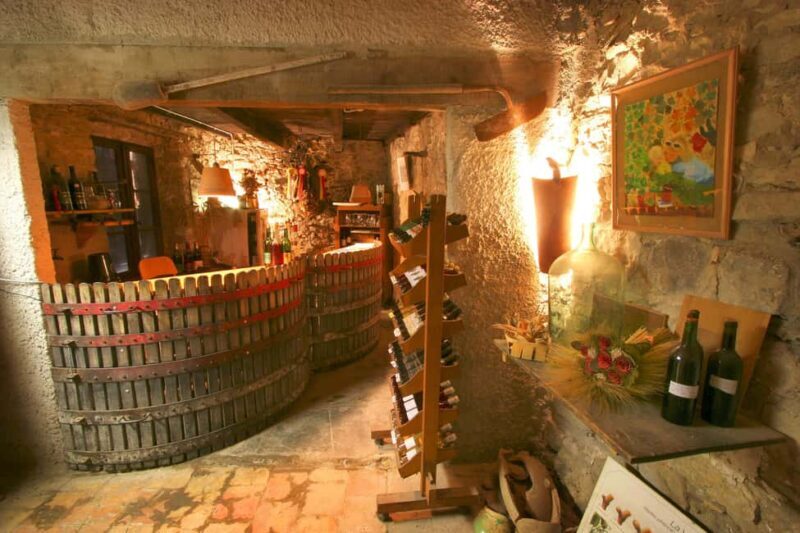 Château Villemagne: Tour of the cellar and tasting of our wines. - A Genuine Look at Château Villemagne’s Wine Tour in the South of France